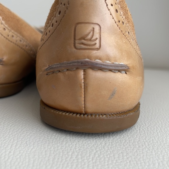 Sperry - Picture 6 of 7